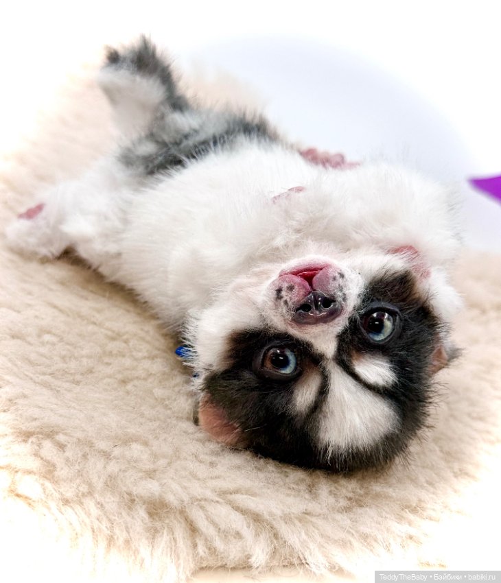 Авторские игрушки (фото 9)