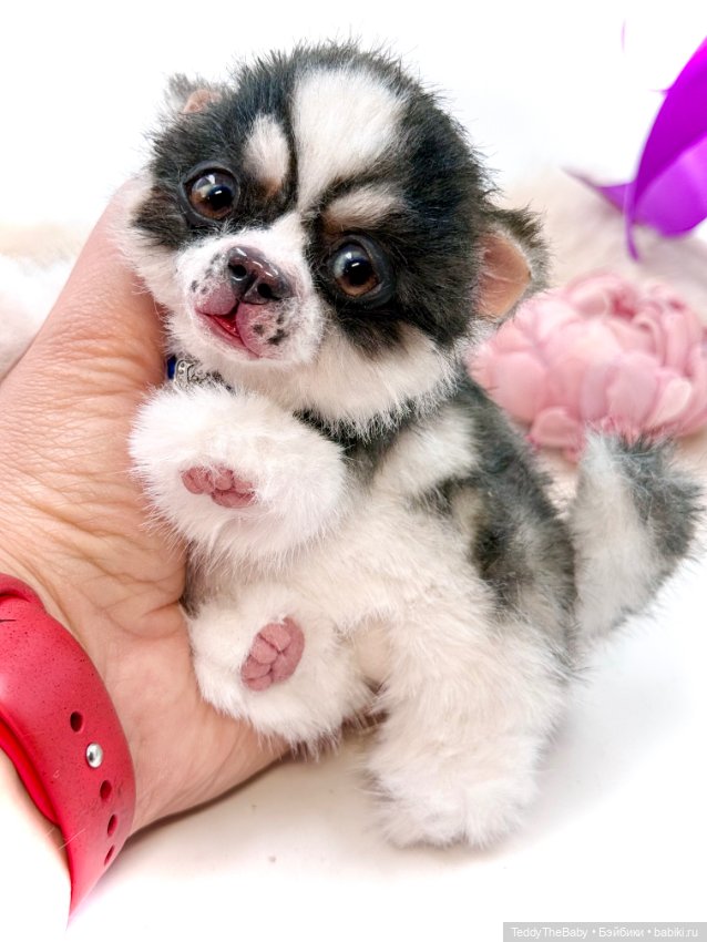 Авторские игрушки (фото 5)