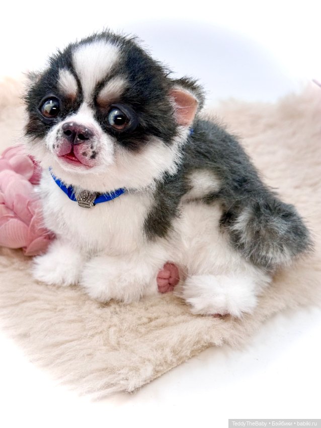 Авторские игрушки (фото 3)