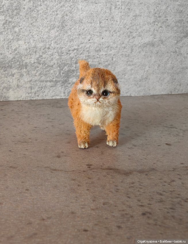 Авторский котенок от Анны Левини