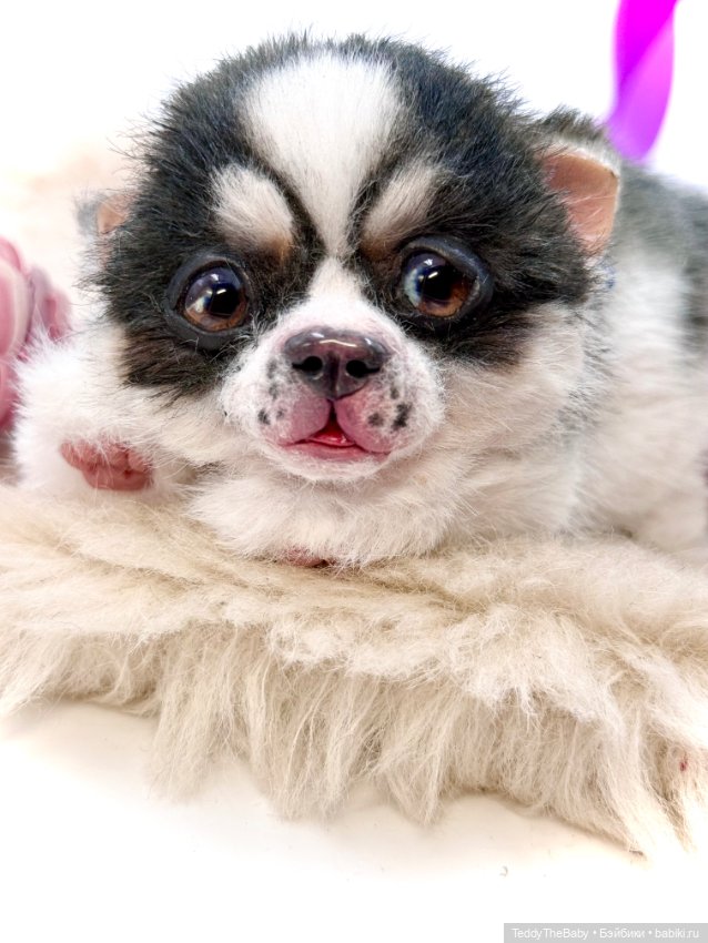 Авторские игрушки (фото 8)