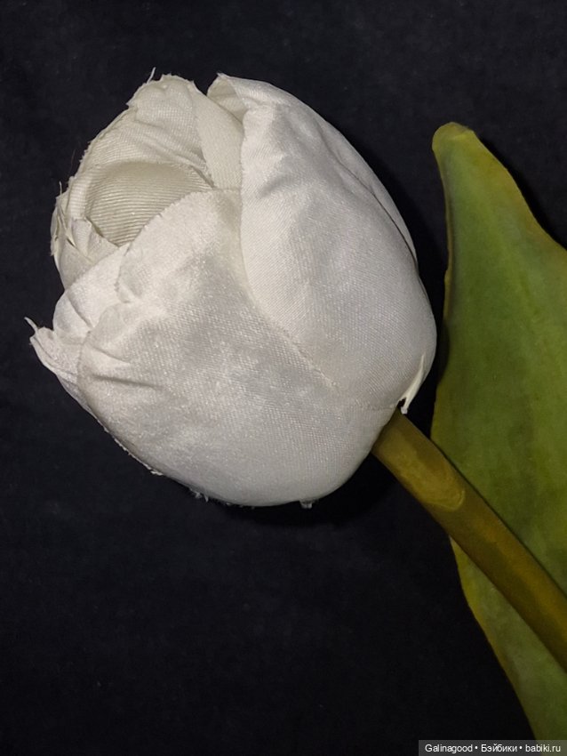 Мишка Zwergnase Teodora — Авторские игрушки (фото 8)