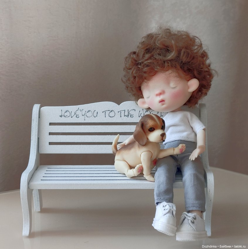 Маленькая собака бжд щенок (фото 8)