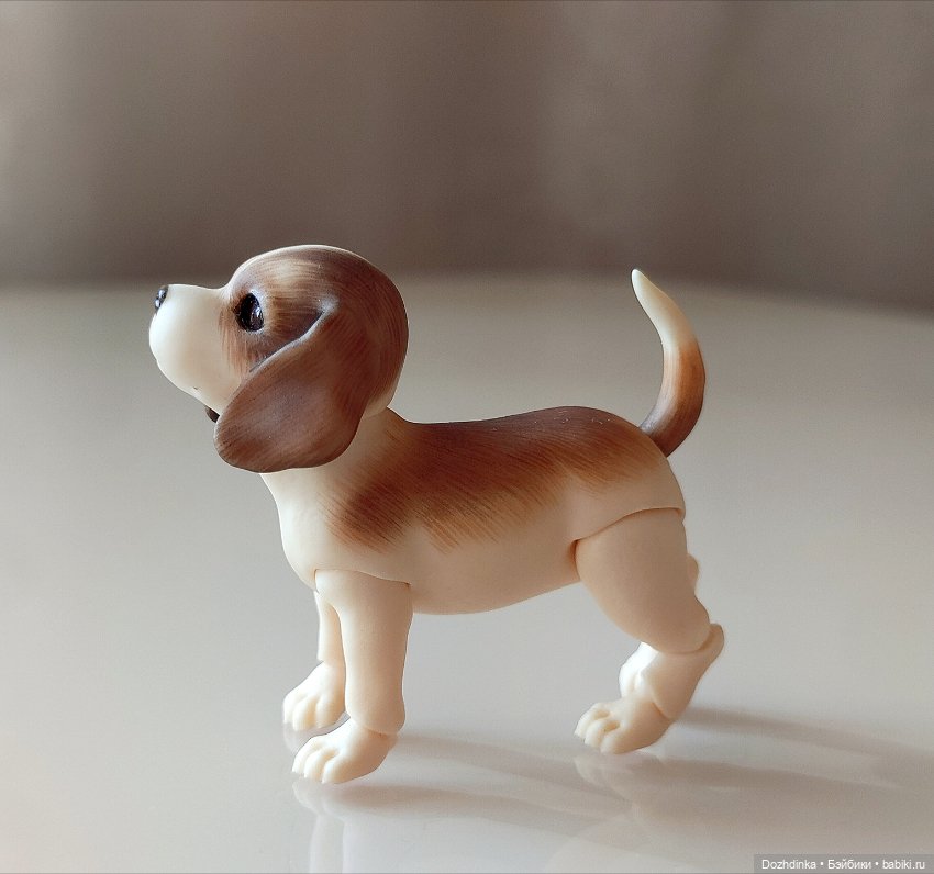 Маленькая собака бжд щенок