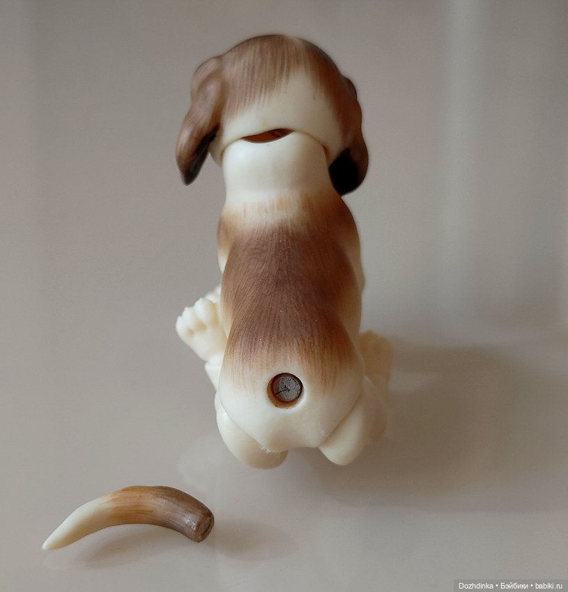 Маленькая собака бжд щенок (фото 4)