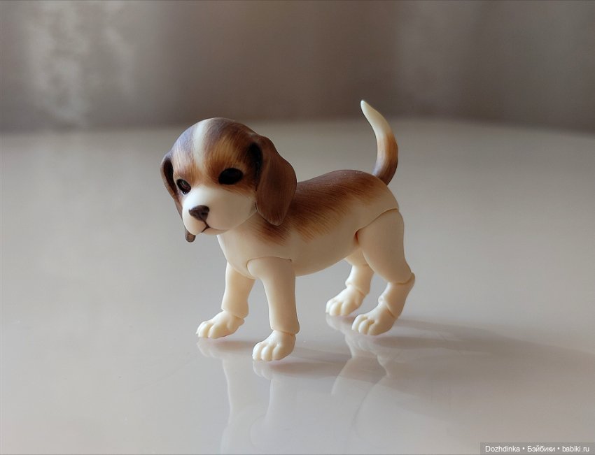 Маленькая собака бжд щенок (фото 7)