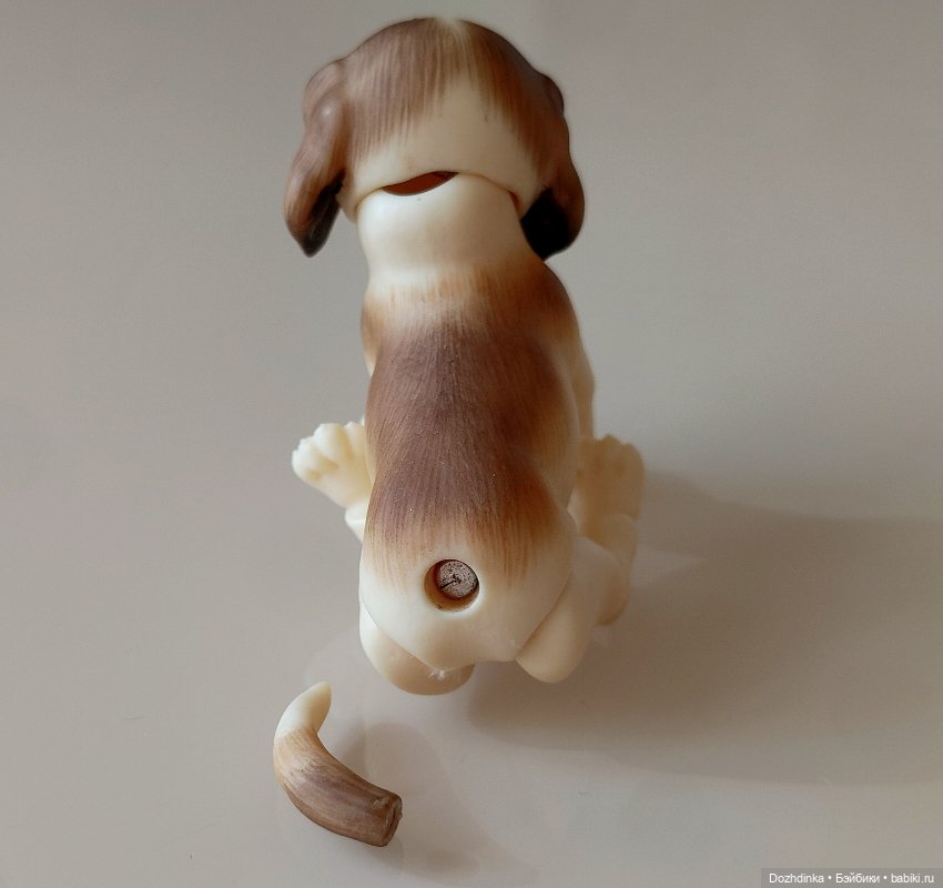 Маленькая собака бжд щенок (фото 5)