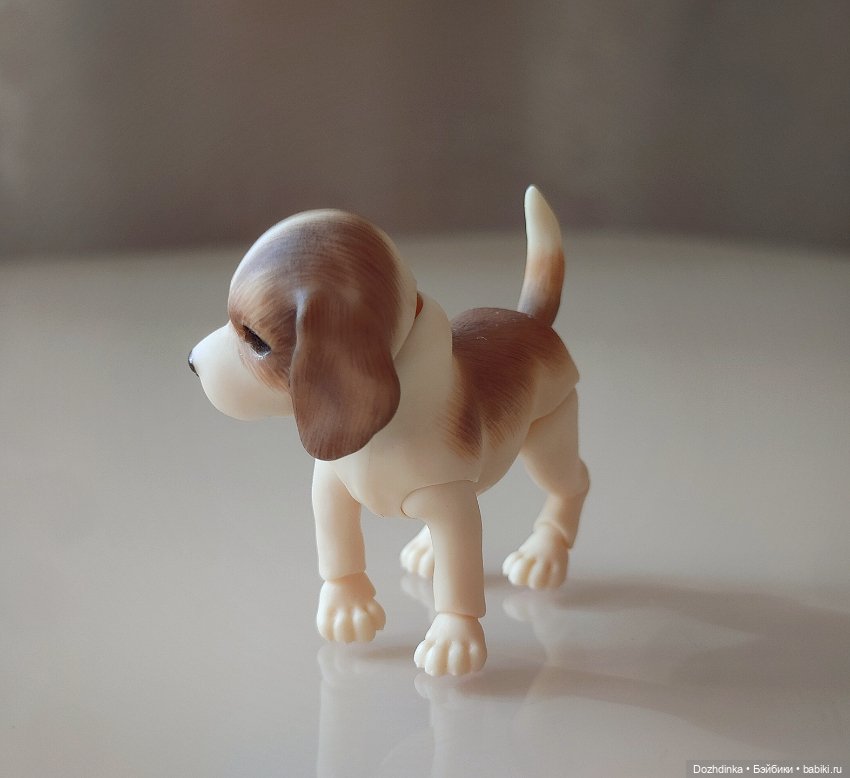 Маленькая собака бжд щенок (фото 6)