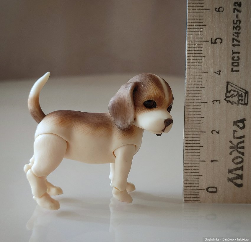 Маленькая собака бжд щенок (фото 2)