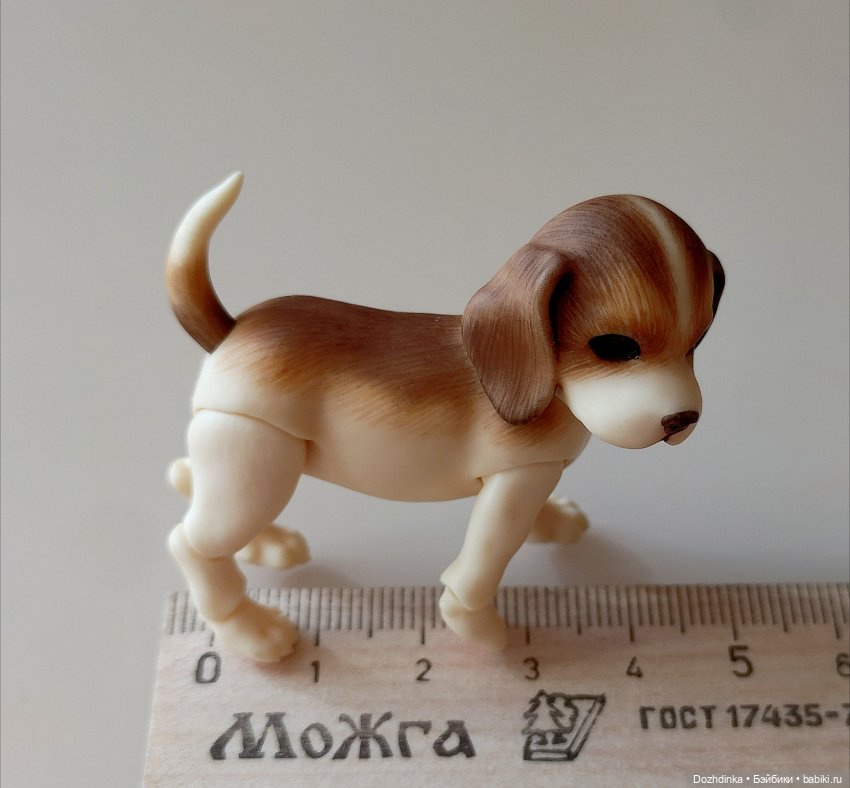 Маленькая собака бжд щенок (фото 3)