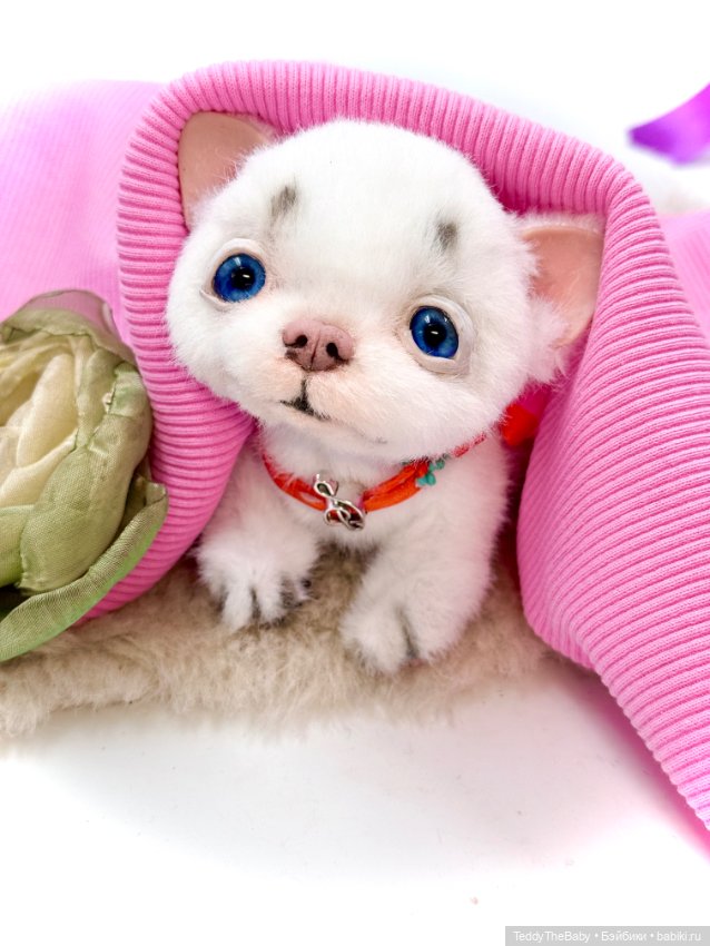 Spring Melody — Авторские игрушки (фото 3)