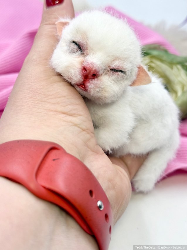 Бейби — Авторские игрушки (фото 9)