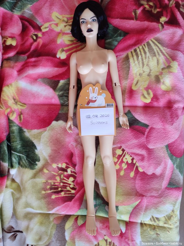 Iplehouse Stella — Куклы BJD (фото 8)