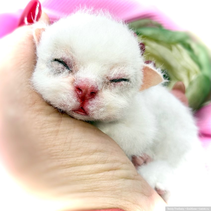 Бейби — Авторские игрушки