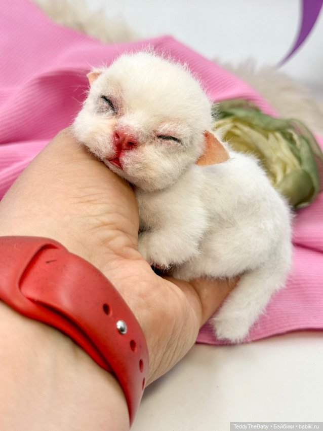 Бейби — Авторские игрушки (фото 10)