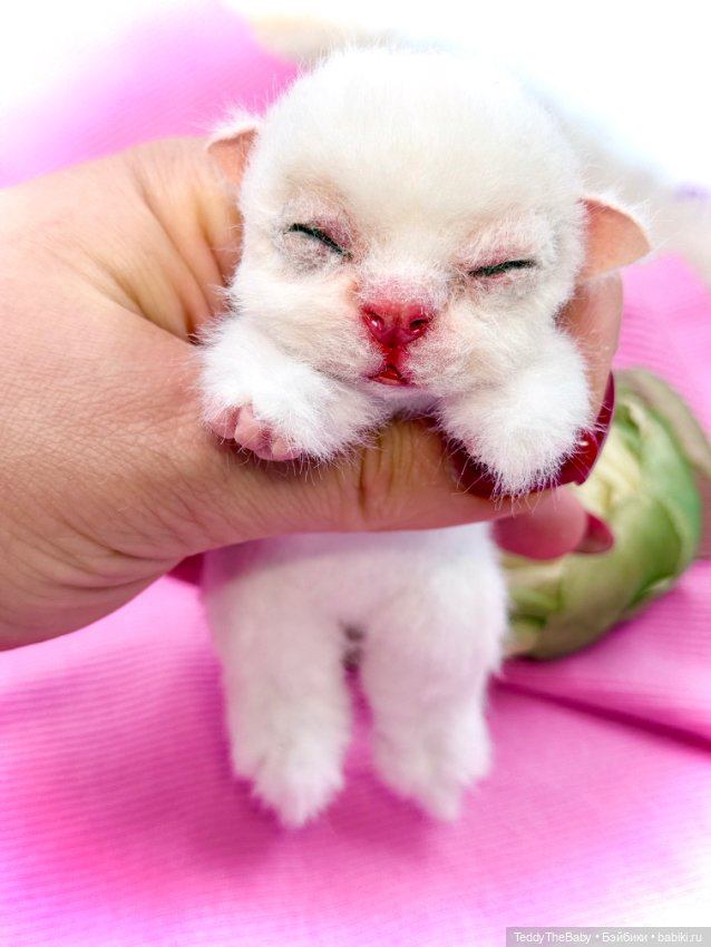 Бейби — Авторские игрушки (фото 5)