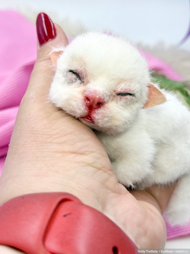 Бейби — Авторские игрушки (фото 8)