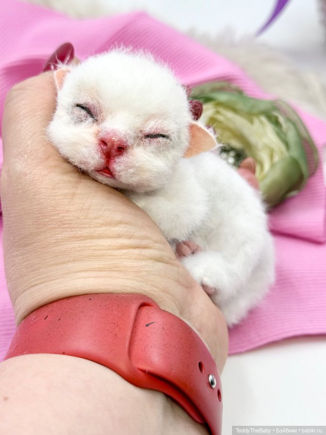 Бейби — Авторские игрушки