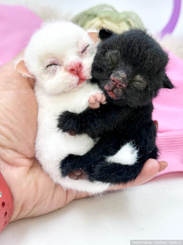 Инь Янь — Авторские игрушки (фото 10)