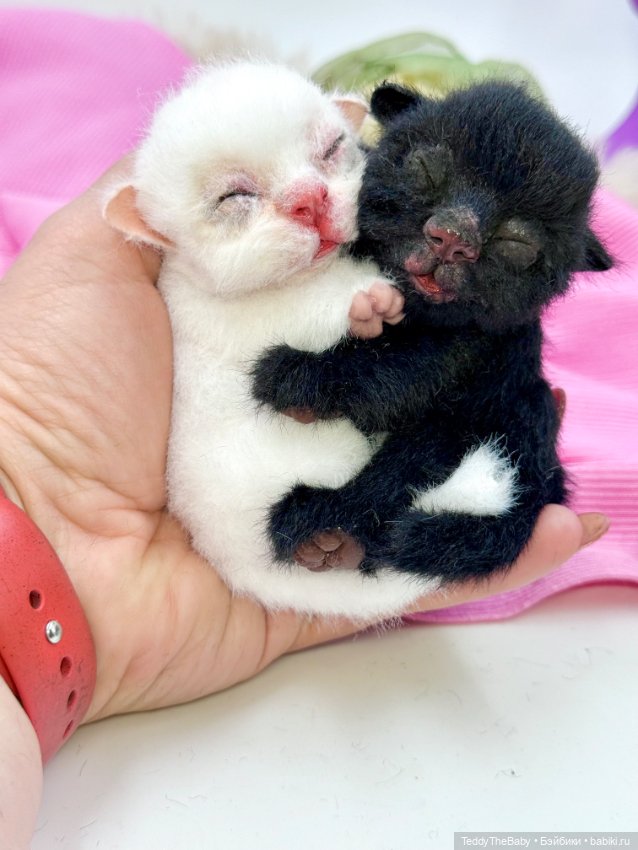 Инь Янь — Авторские игрушки (фото 8)