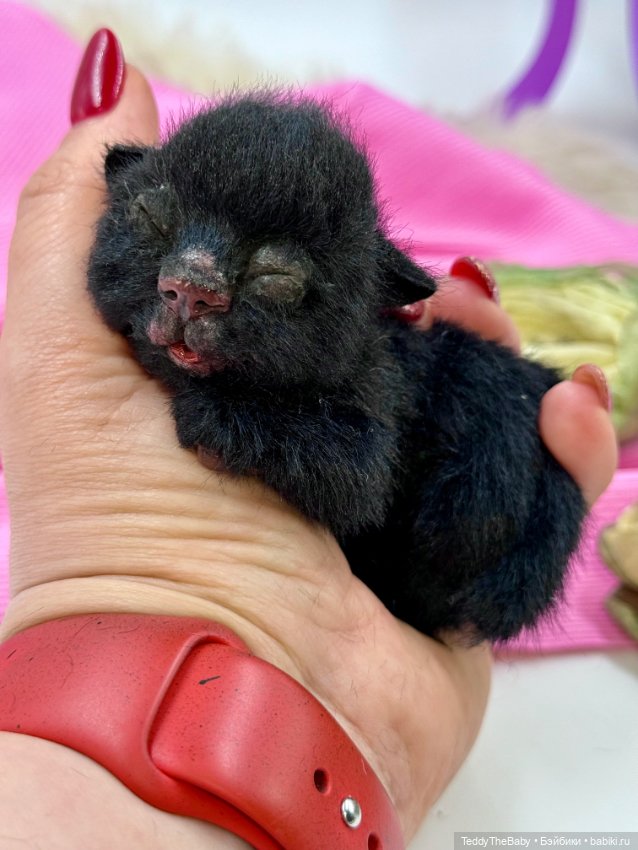 Инь Янь — Авторские игрушки