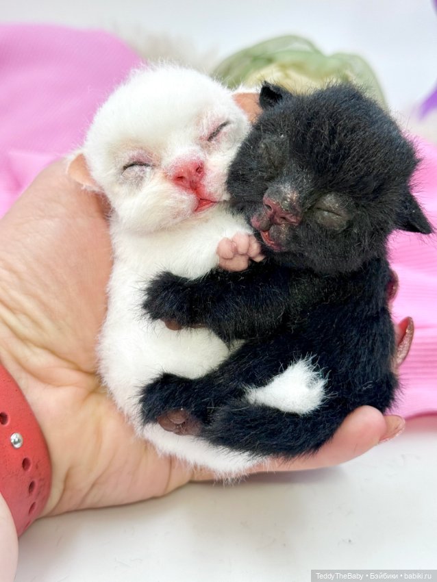 Инь Янь — Авторские игрушки (фото 7)