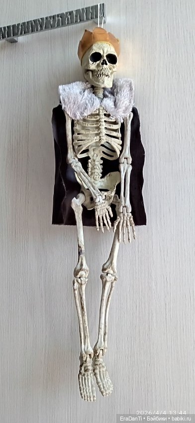 Его Величество скелет ☠️ (2) (фото 3)