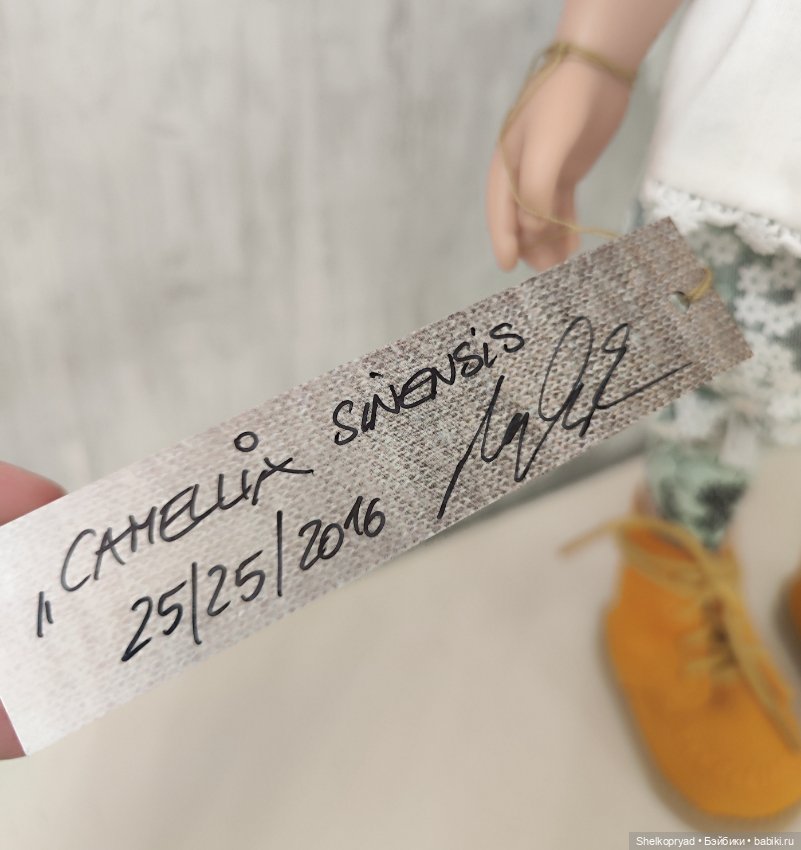 Camellia Sinensis от Zwergnase (фото 6)