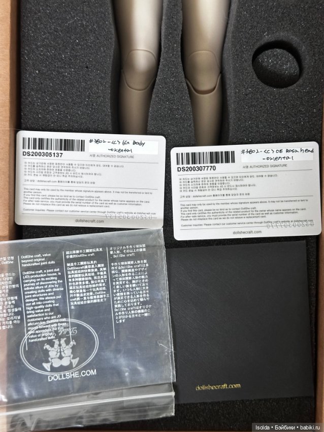 Роза Dollshe — Куклы BJD (фото 7)