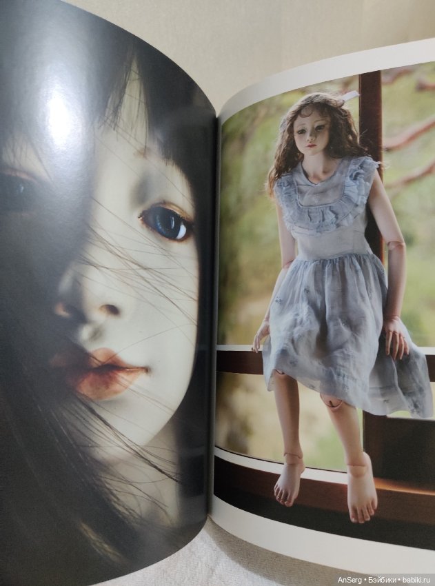 Шарнирная Кукла — Книги (фото 5)