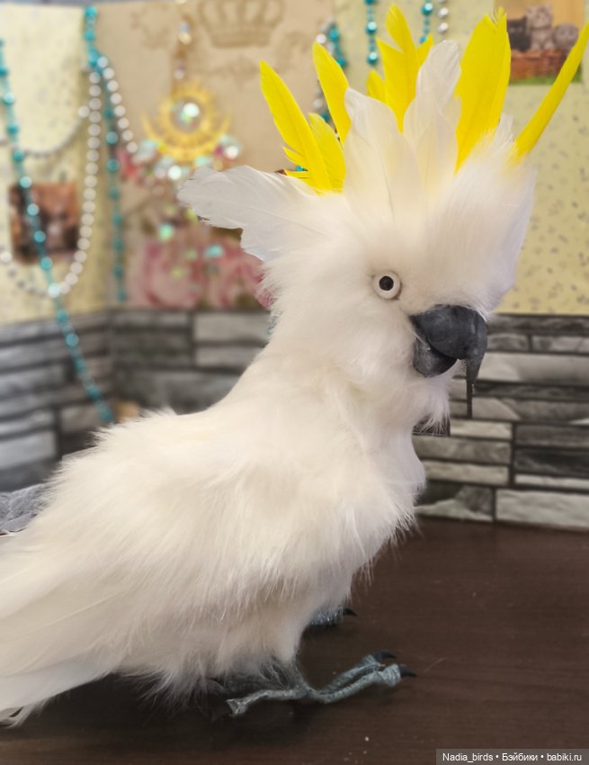 Большой желтохохлый какаду