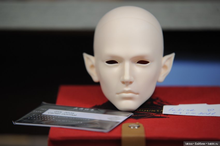 Умопомрачительный эльф Картер от Look Mountain (фото 5)