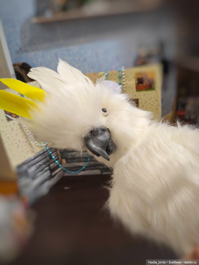 Большой желтохохлый какаду (фото 7)