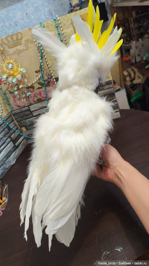 Большой желтохохлый какаду (фото 5)