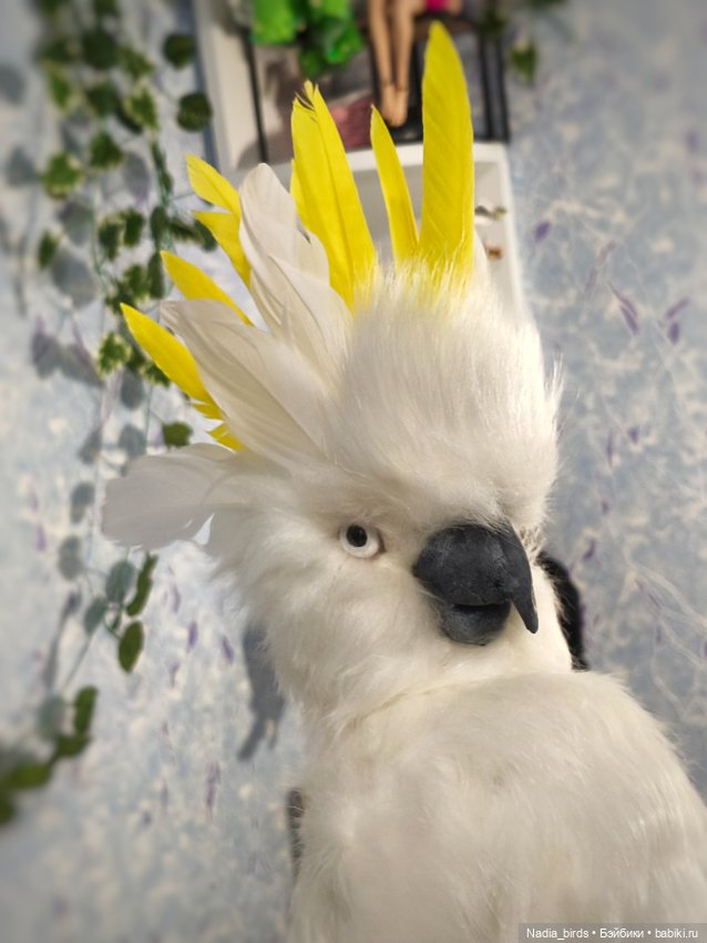 Большой желтохохлый какаду (фото 4)