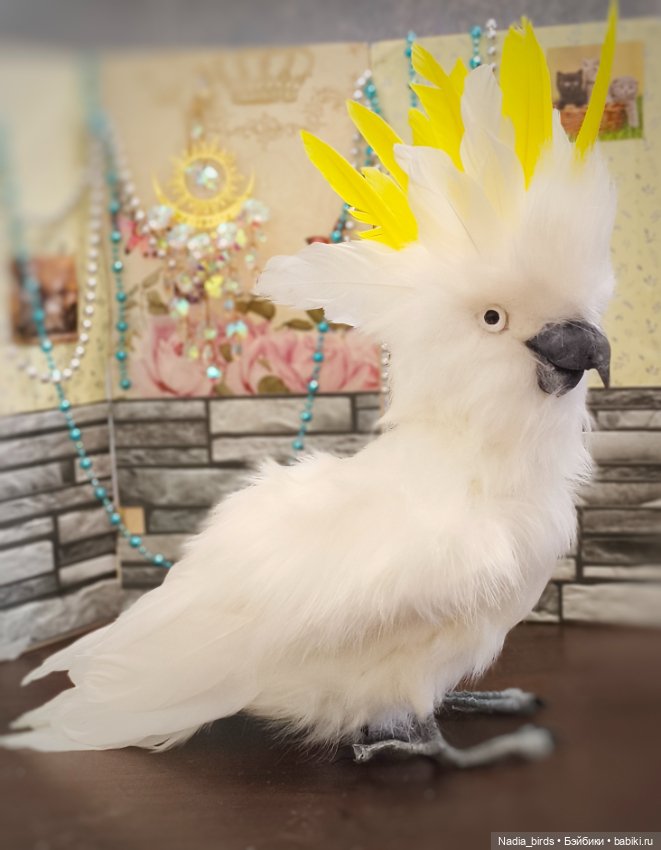 Большой желтохохлый какаду (фото 8)