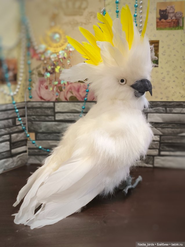 Большой желтохохлый какаду (фото 2)