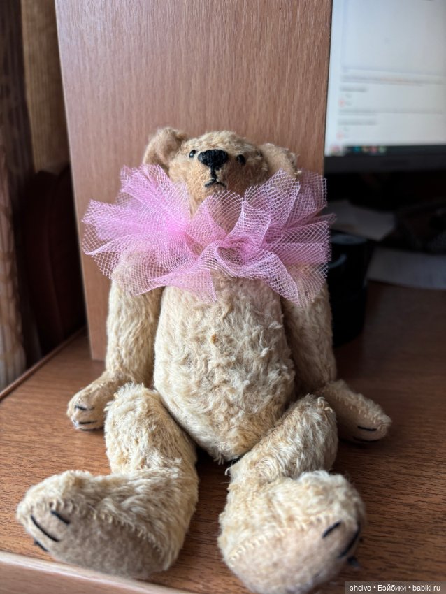 Маленький мишка в розовом воротнике (фото 5)