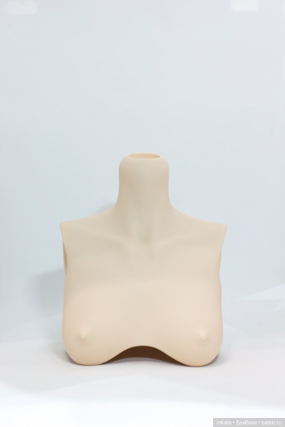 Dollshe Diana (бюст с шеей и без шеи) (фото 4)