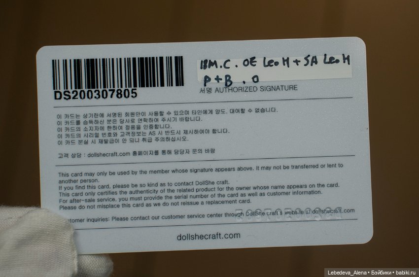 Голова Dollshe Leo ориентал (фото 4)