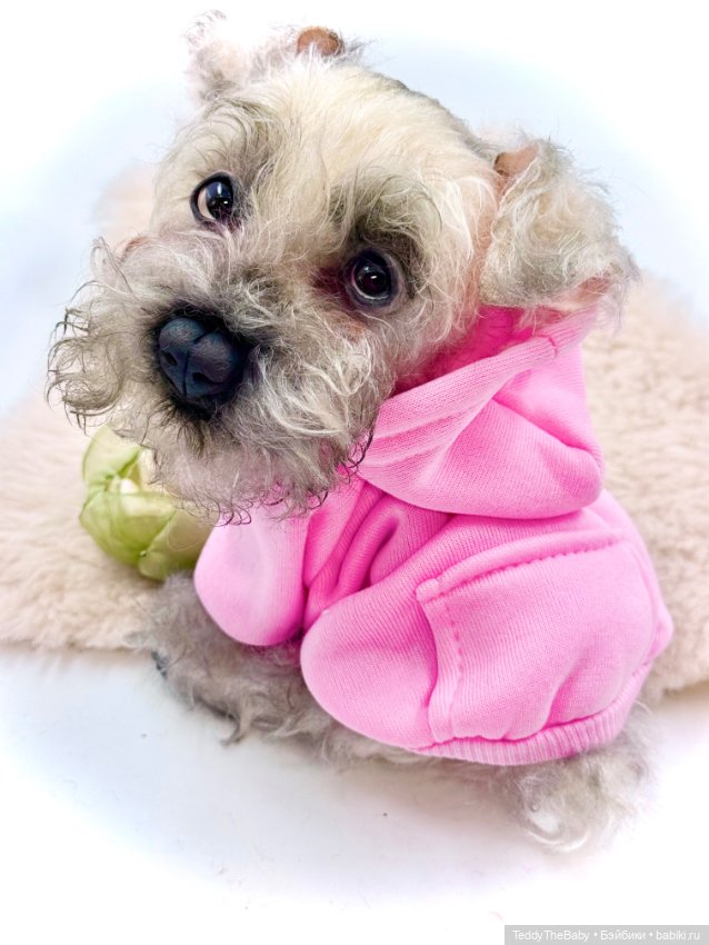 Jenny — Авторские игрушки (фото 3)