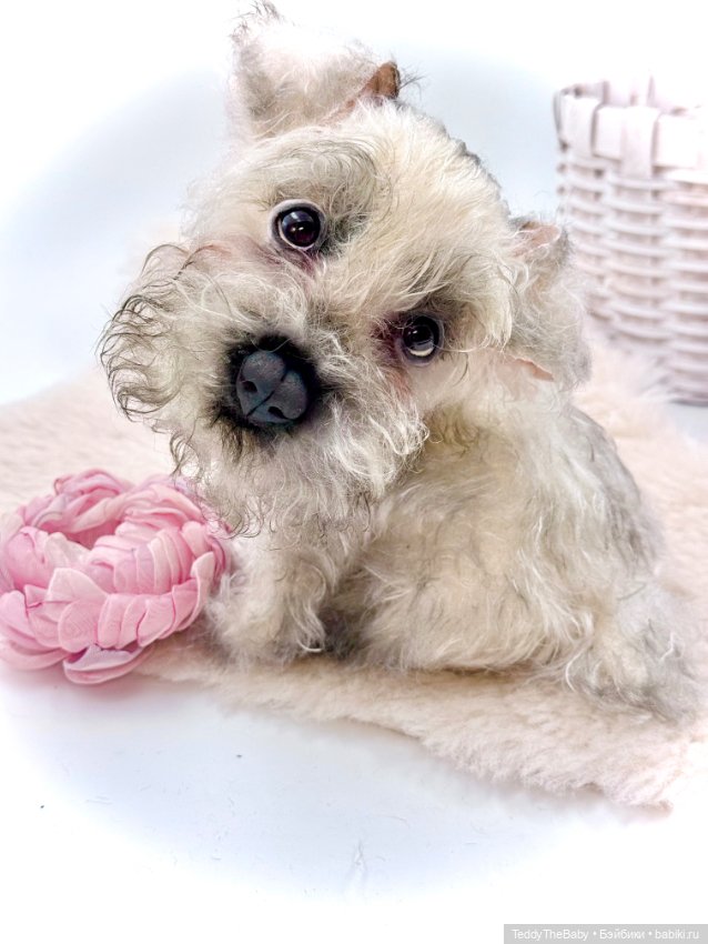 Jenny — Авторские игрушки (фото 8)