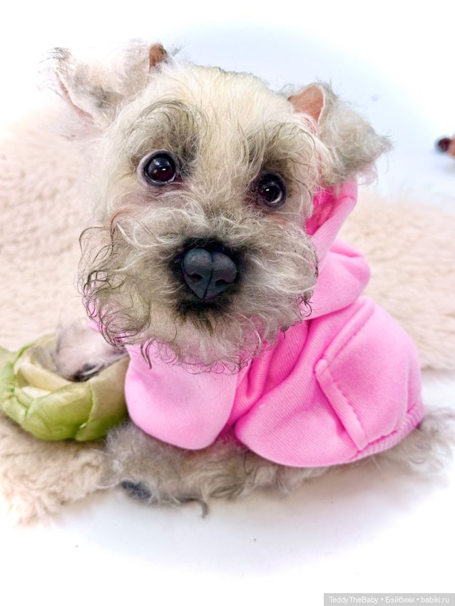 Jenny — Авторские игрушки