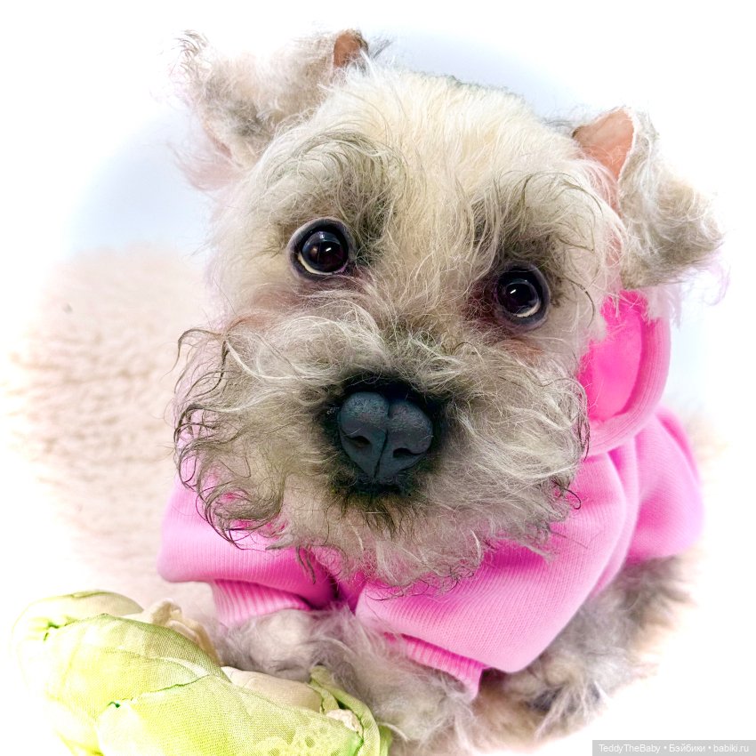 Jenny — Авторские игрушки