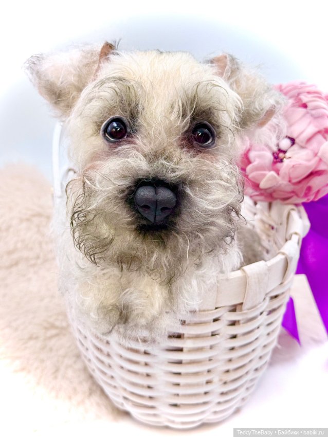 Jenny — Авторские игрушки