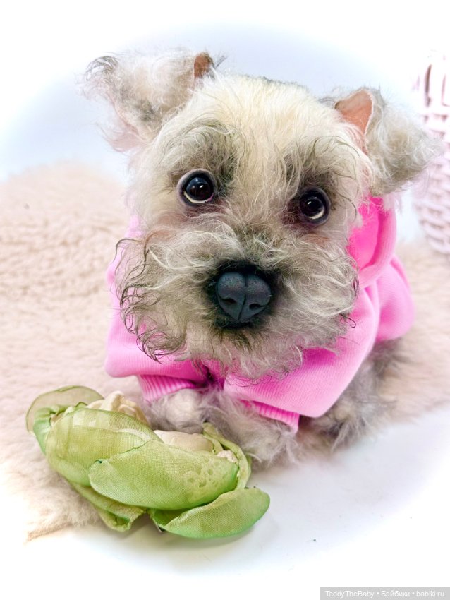 Jenny — Авторские игрушки (фото 2)