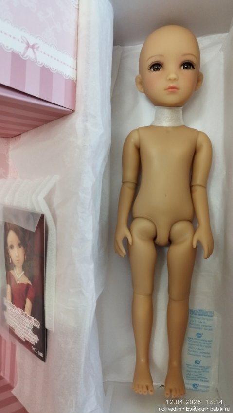 Амора от Руби ред нюд ( Ruby red ) (фото 2)