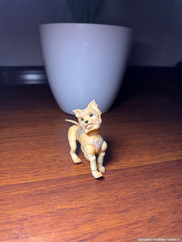 Йорский терьер фотополимер. БЖД (фото 2)