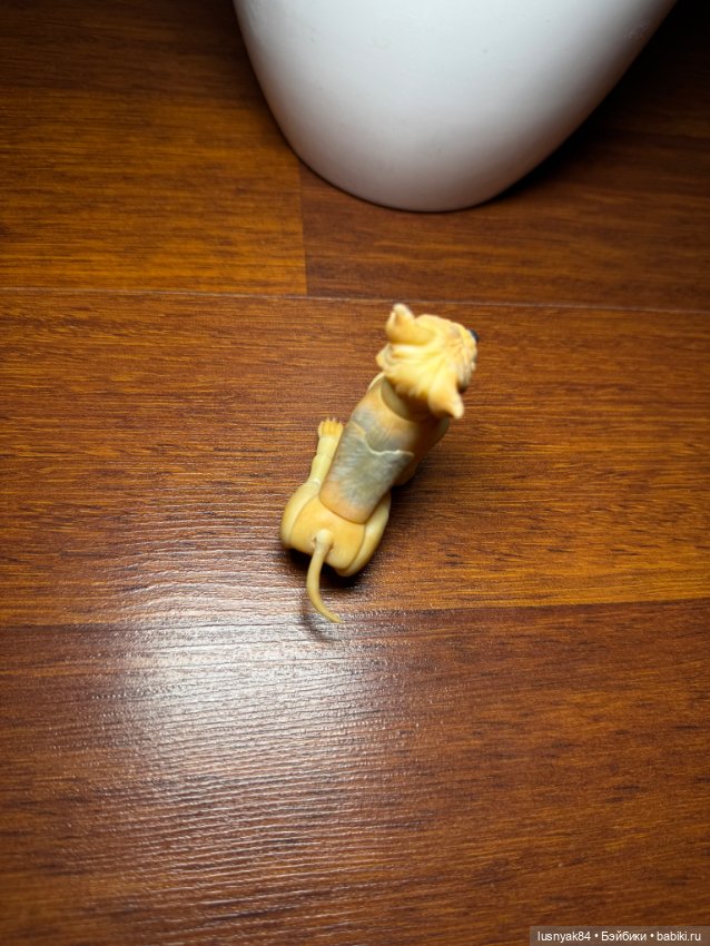 Йорский терьер фотополимер. БЖД (фото 4)