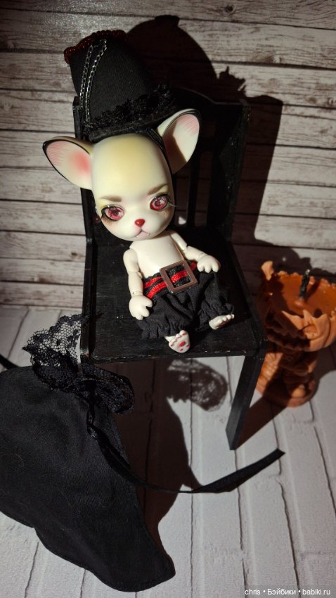 Собачка Чихуахуа Панг Джу Pang Ju (фото 2)